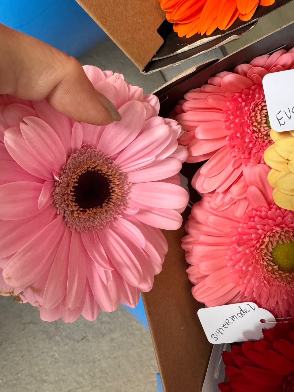 0d98d89f-31c4-452a-acba-d7419f092b06