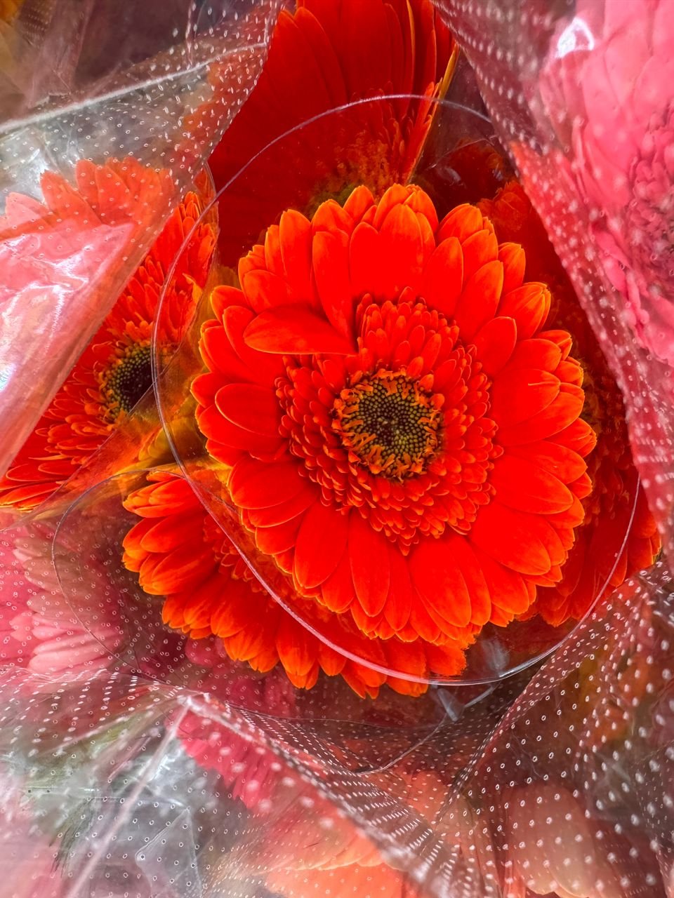 0fd10e98-2729-414c-9e1b-2c6a020bf1aa