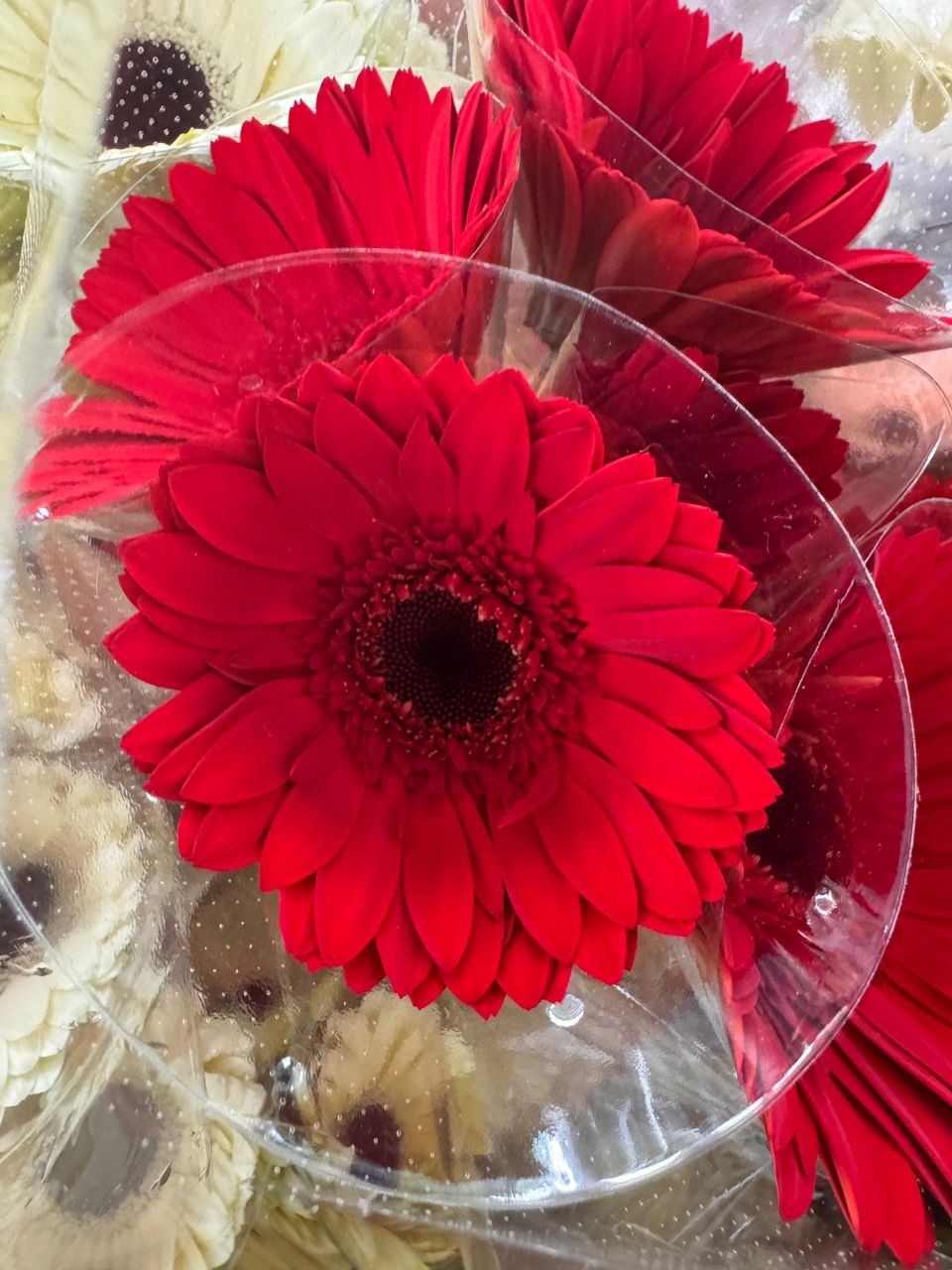 3e23d80d-b288-430d-a478-8d13a718a56c