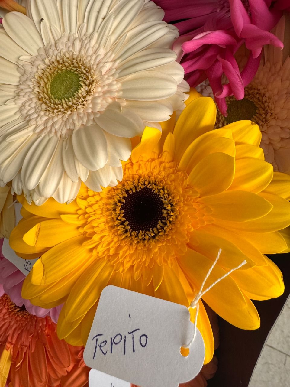 4268f622-222c-479b-8125-9eb112932ac0