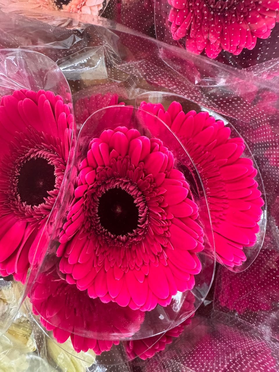 696704b2-d1be-479d-8665-9bf7ce4b007d