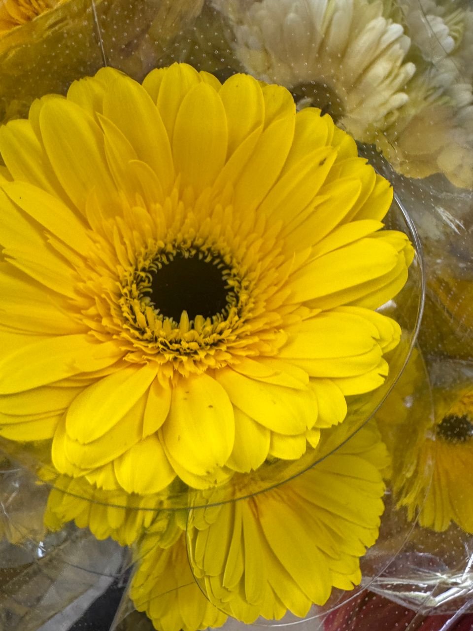 6dc3f8b8-882e-4b2d-ae0b-72f4d6d040a6