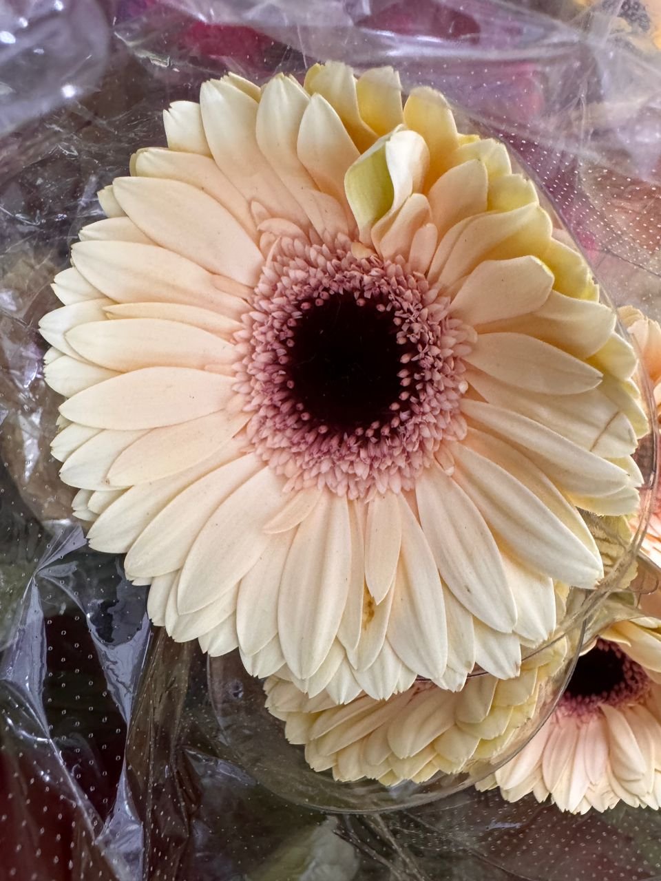 9d662534-bea9-4593-833e-a04dccfa6fe8