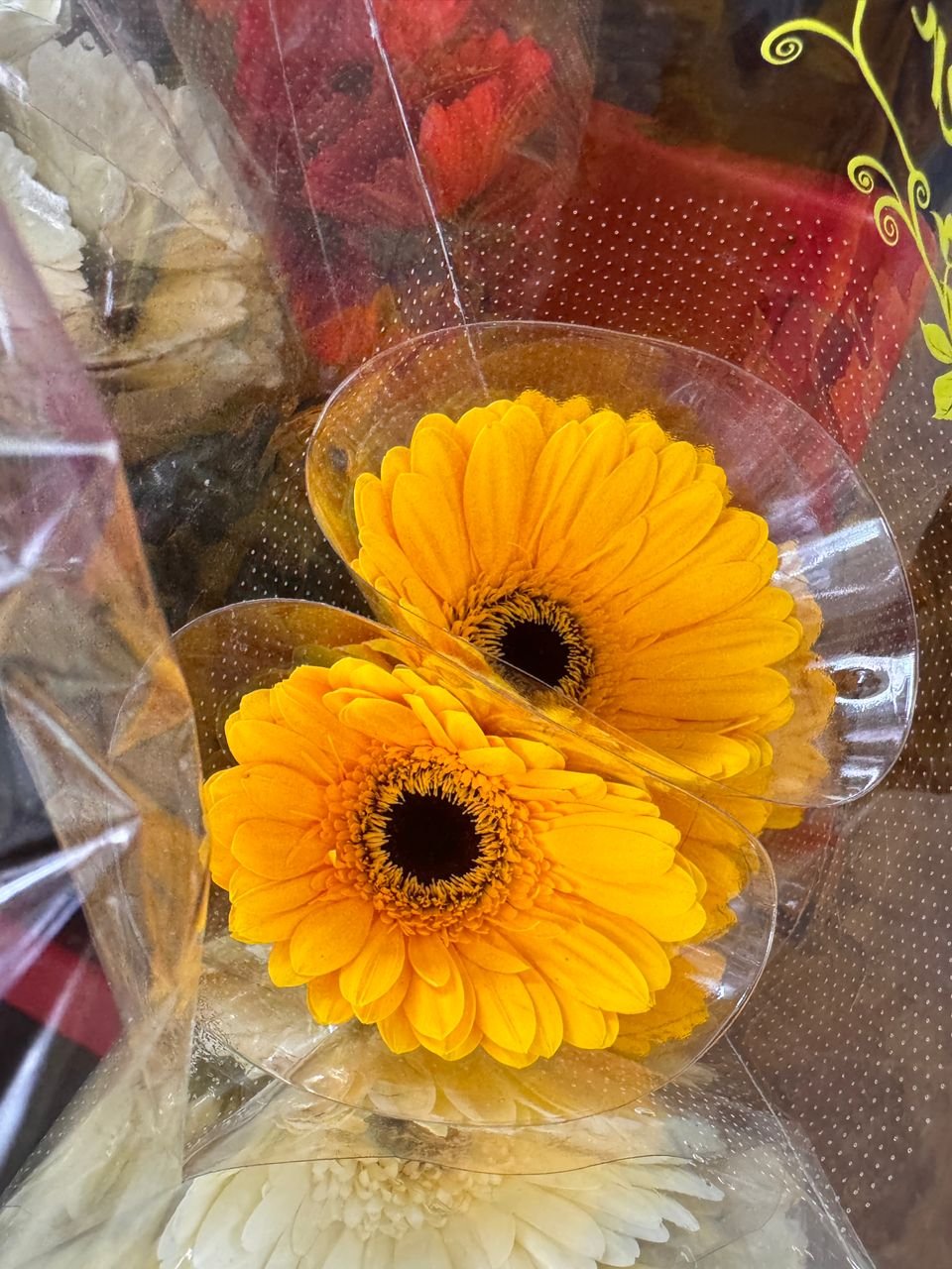 caa69011-fe04-4031-b946-089007ef4397