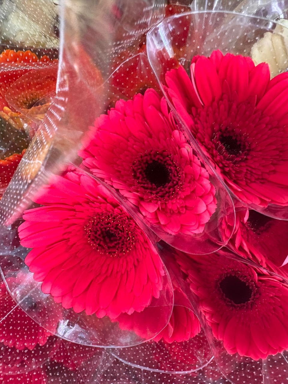 cee0ca19-233d-4a6a-a114-afa254a70b8e