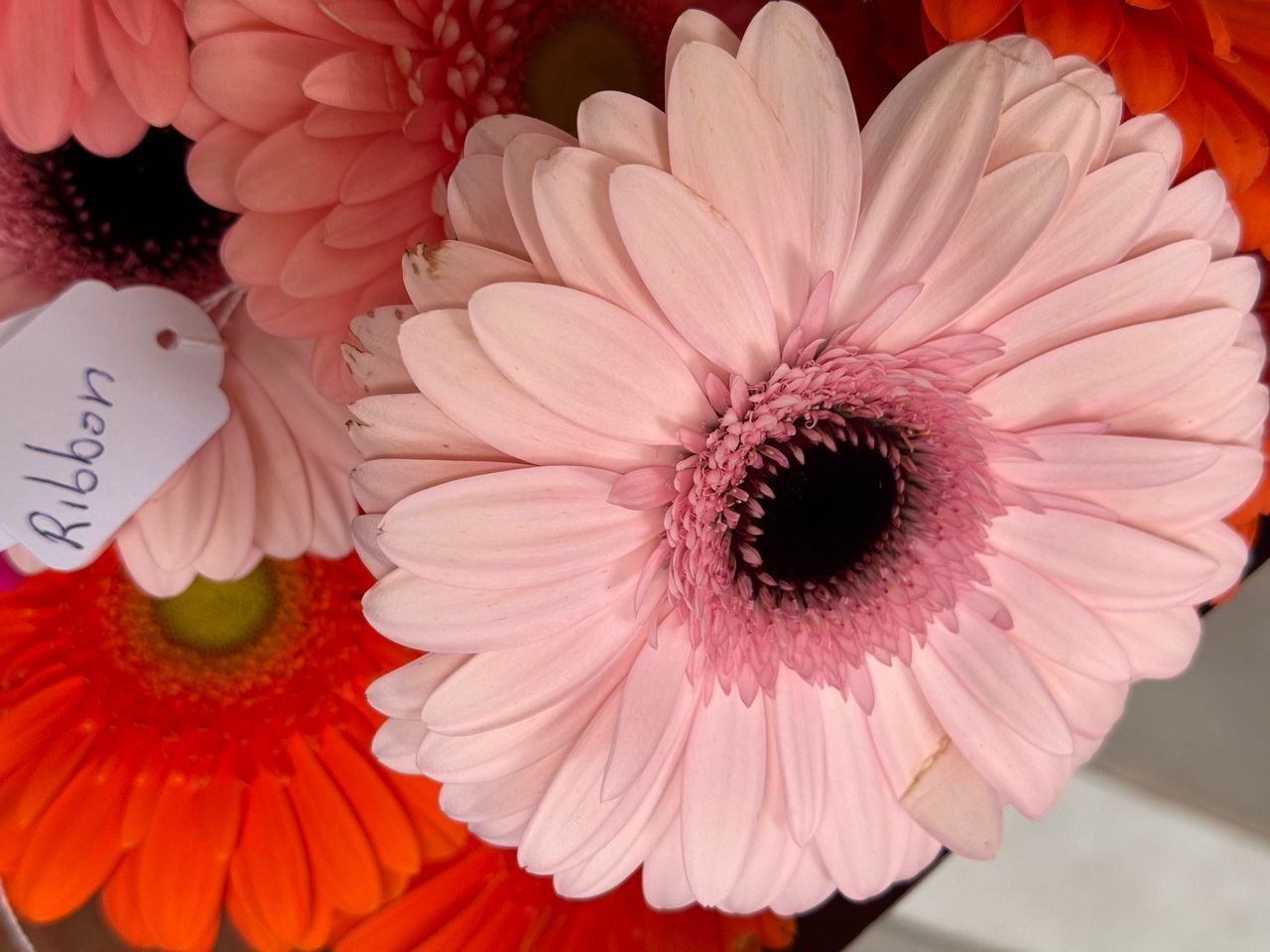 d6b53189-d36f-488d-b6fb-7899424c0780