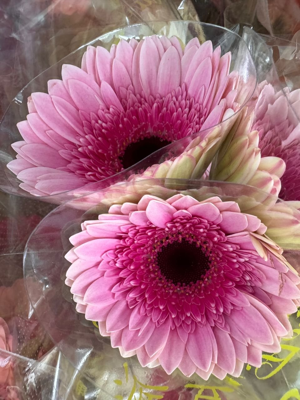 dad1e3bc-f7c8-48bc-9530-7b3deb2f8fdc