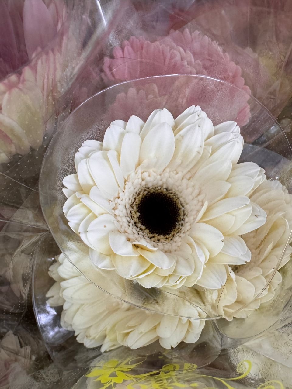 f5dce966-49dc-4231-b256-2552f556122c