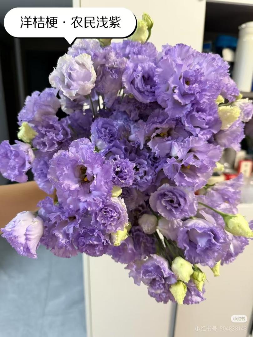 LIGHT PURPLE