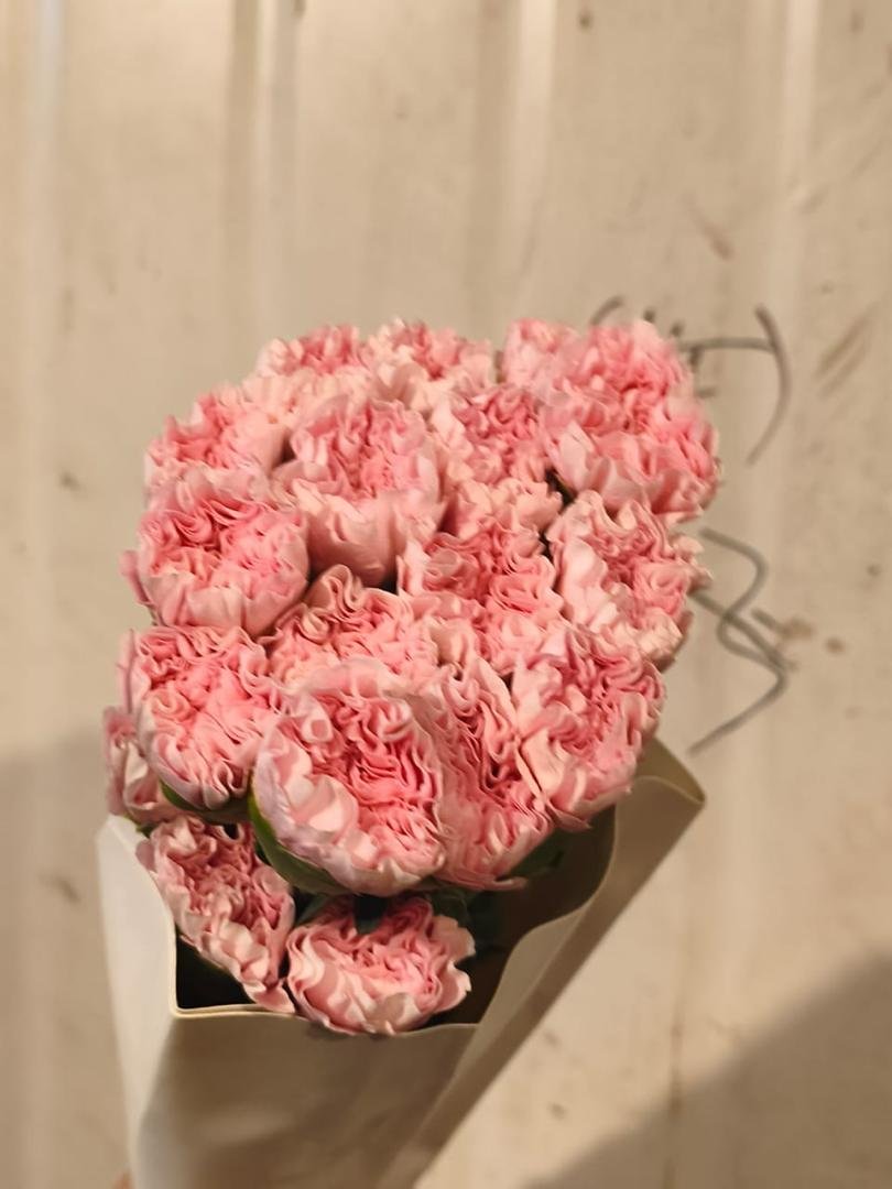 PINK 粉钻