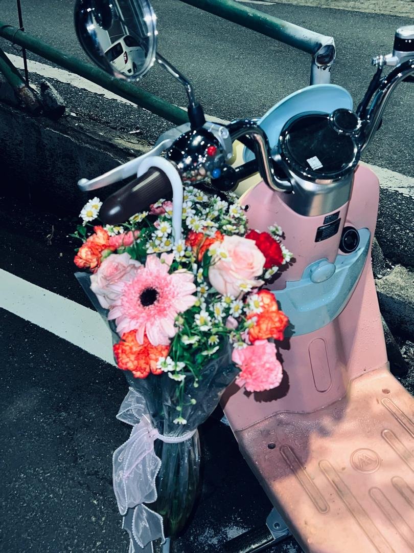 00cd8ed1-4058-4123-9dc9-1b18ae14032e