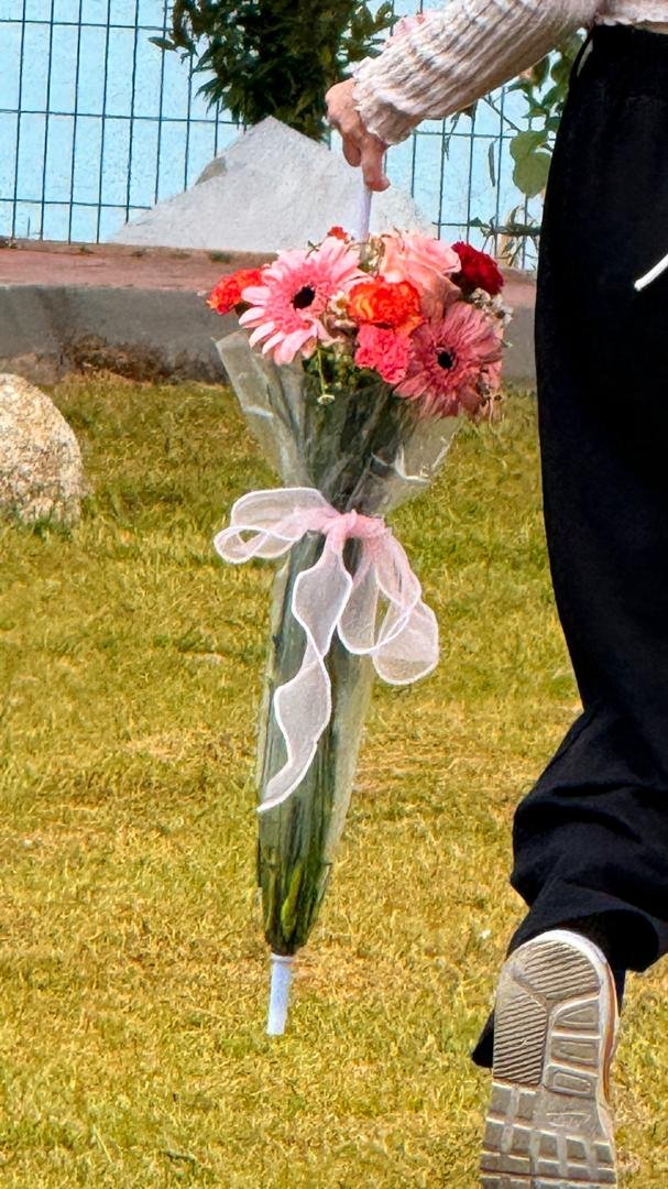 88333cd7-bae6-468e-ba73-4fedd228c2a5