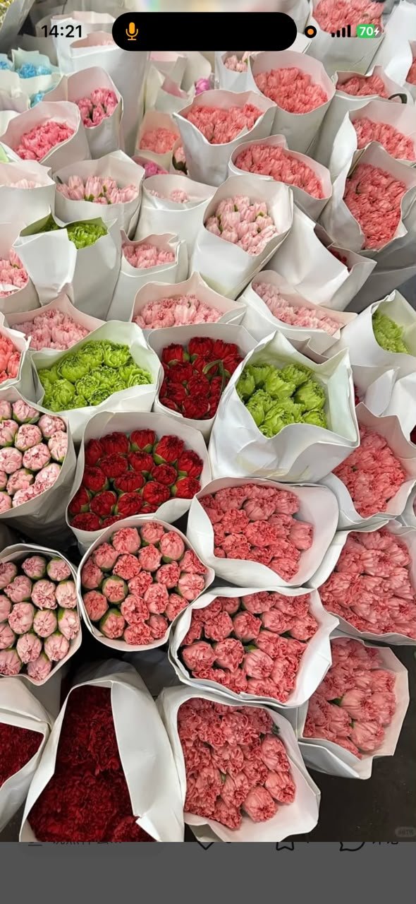 CARNATION CHINA