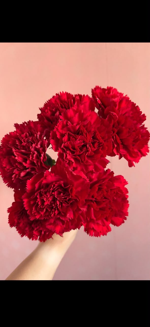 RED 红色