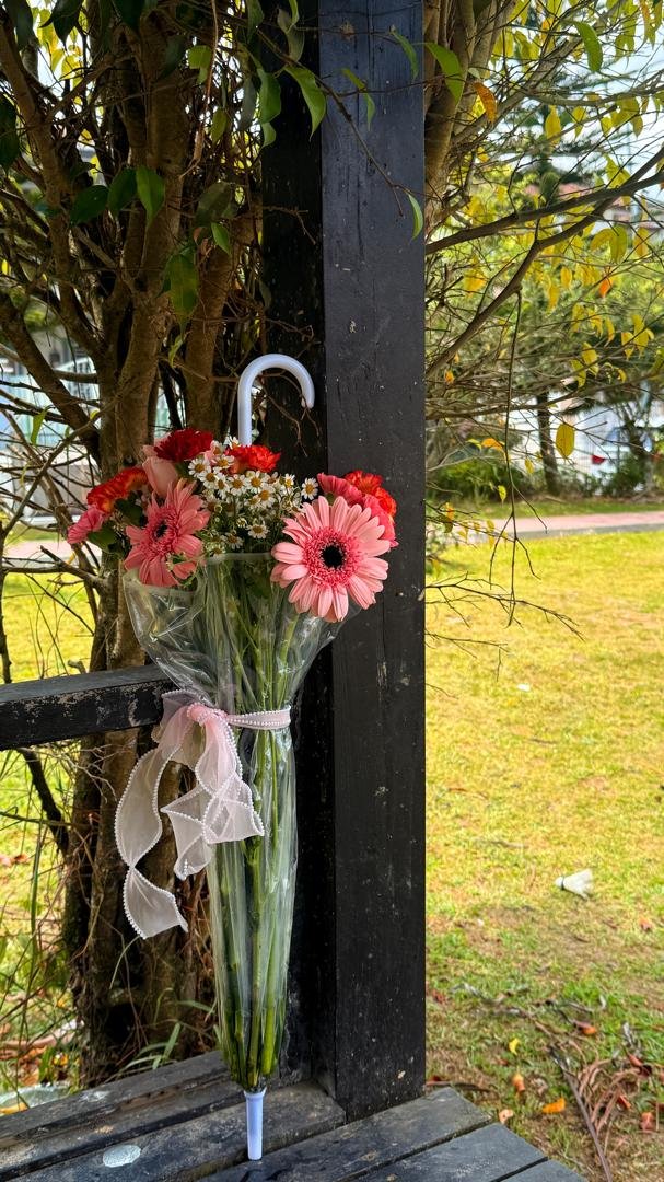 d6c5927b-dee4-47e8-801b-70b393d150d1