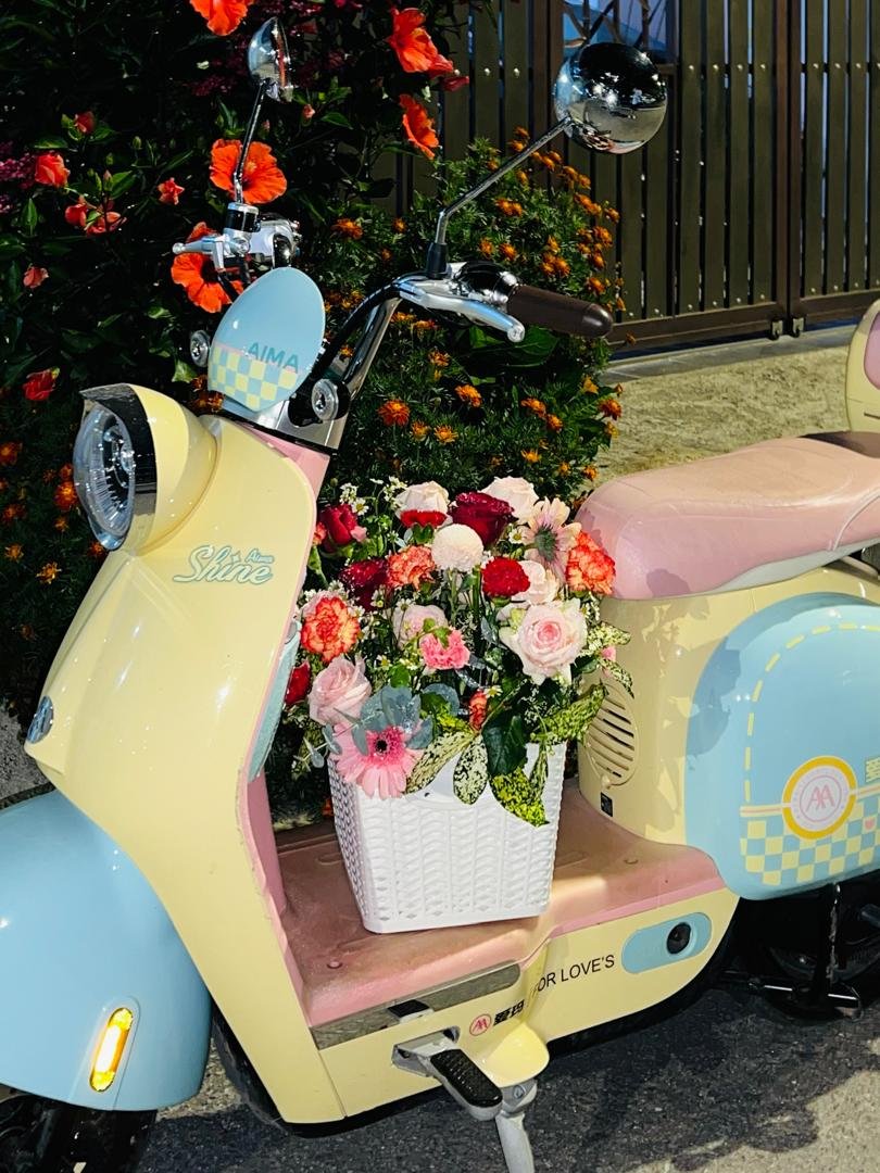 e6a74762-5a19-48ac-91f6-22cda1cf1cf5