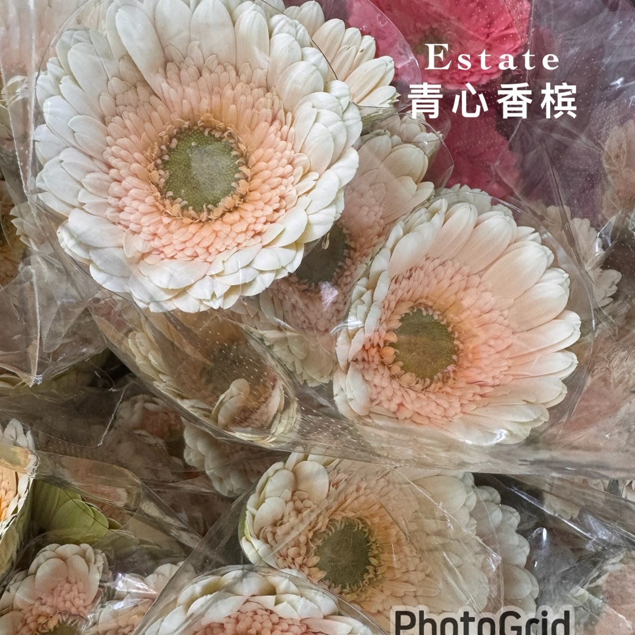 EATATE 青心香槟