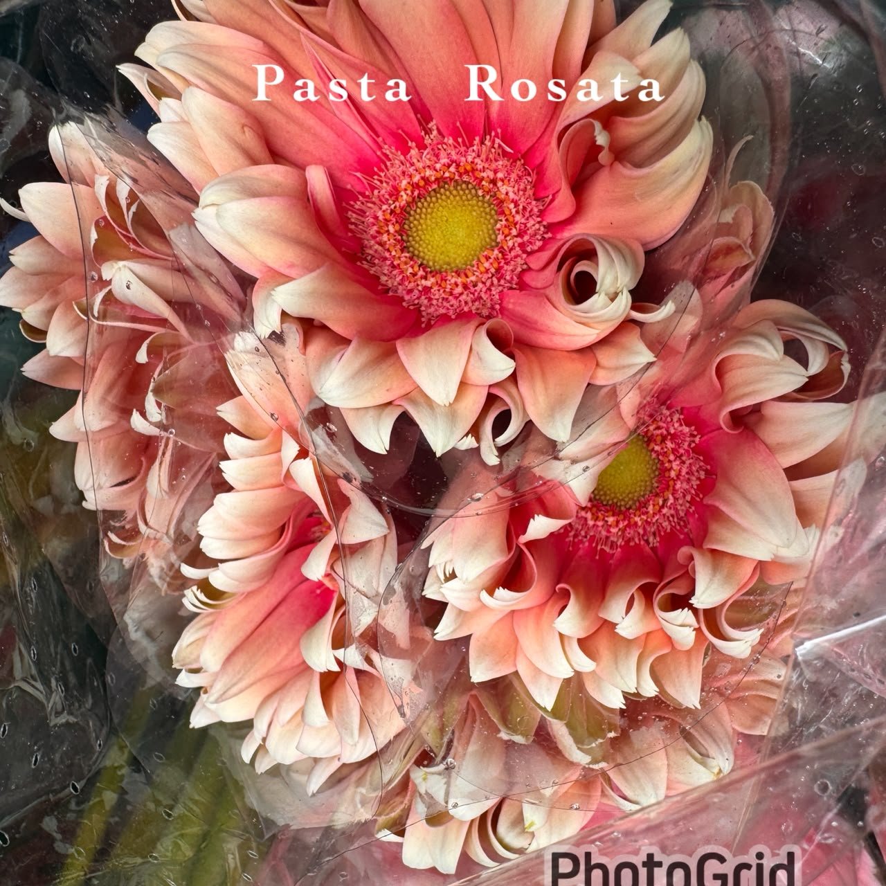 PASTA ROSATA
