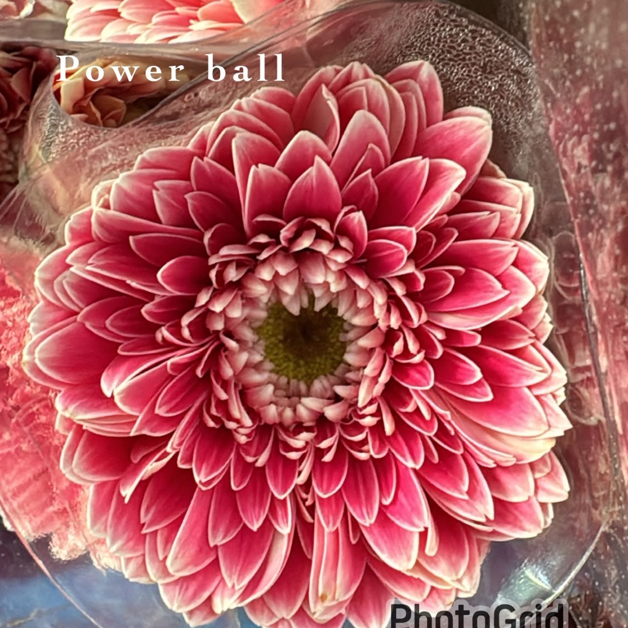 POWER BALL (MINI)