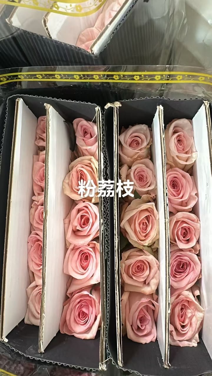 粉荔枝