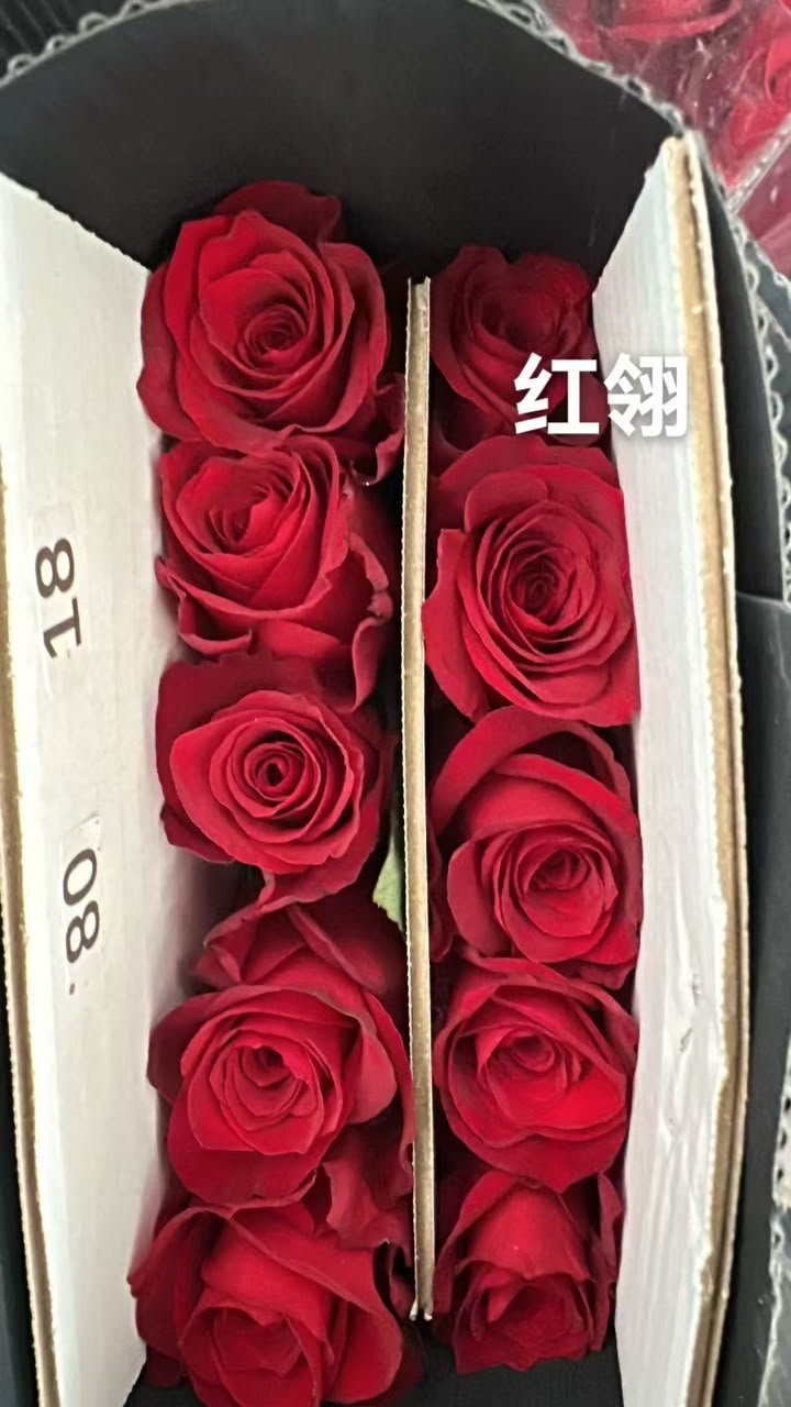 红翎