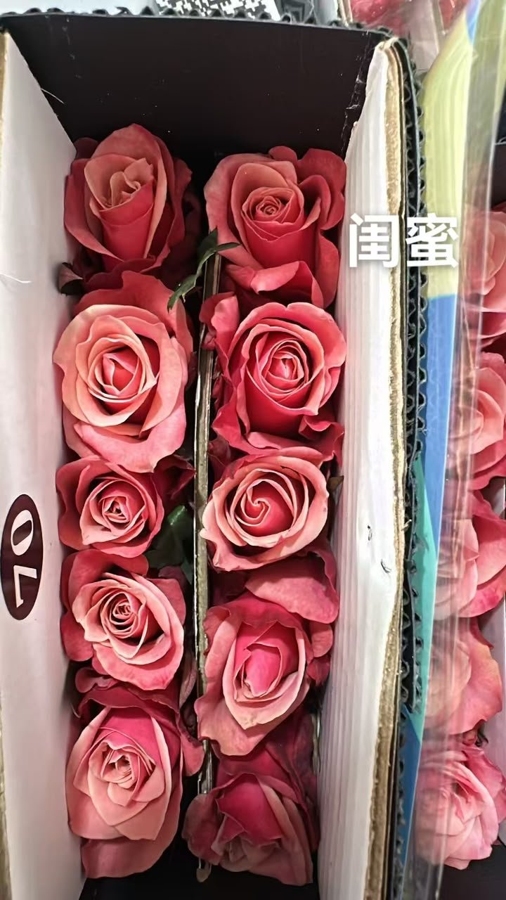闺蜜